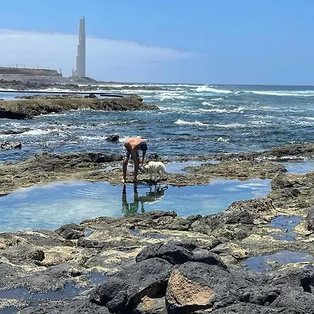 Pepita En La Punta Hidalgo *