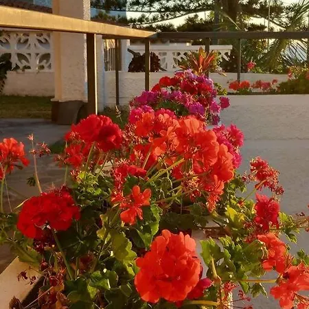 Villa Pepita En La Punta Hidalgo *