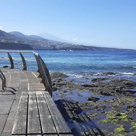 Pepita En La Punta Hidalgo *