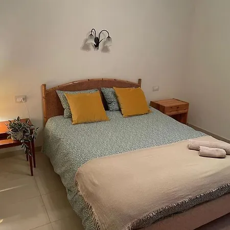 Pepita En La Punta Hidalgo *